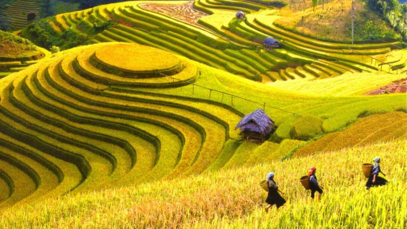 Sapa Hill Tribe Village Discovery Tour – 8 Days - Green Discovery Indochina