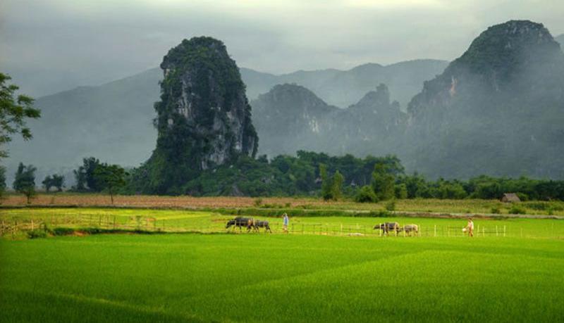 Ngoc Son - Ngo Luong - Pu Luong treck