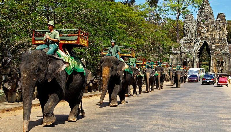 Phnom Penh & Siem Reap Cip School Trip