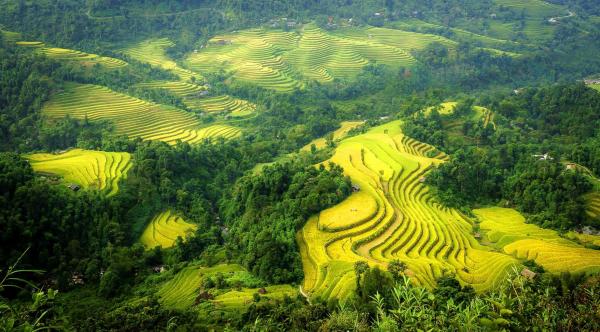 Bac Ha – Ha Giang Ultimate Trek 10 Days / 9 Nights