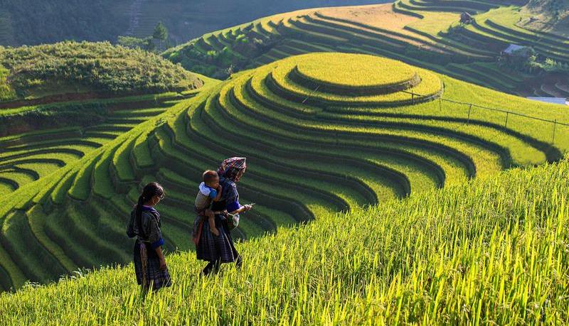 Sapa, Fansipan, sapa tours, travel with Green Discovery Indochina