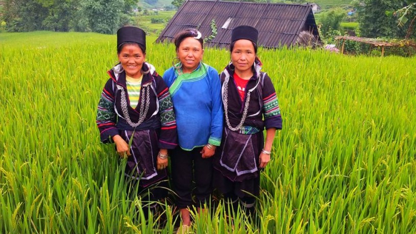 Sapa Hill Tribe Villages Trekking Tour – 2 Days / 3 Nights