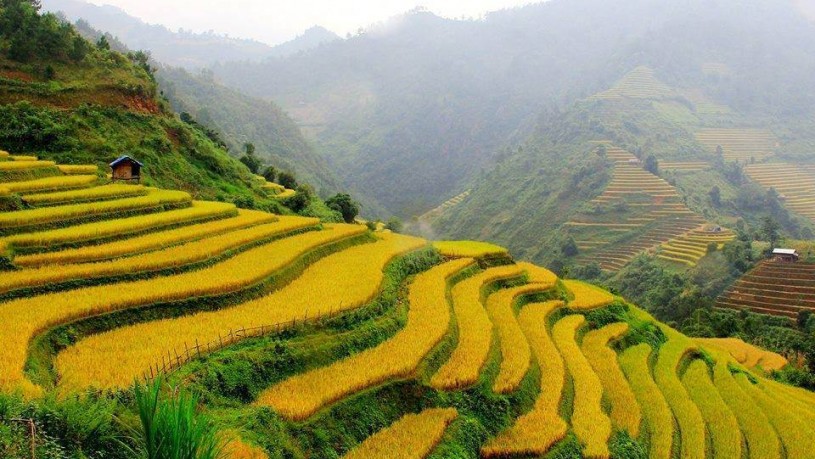 Sapa Hill Tribe Villages Trekking Tour – 2 Days/3 Nights - Home-stay Unique Experience