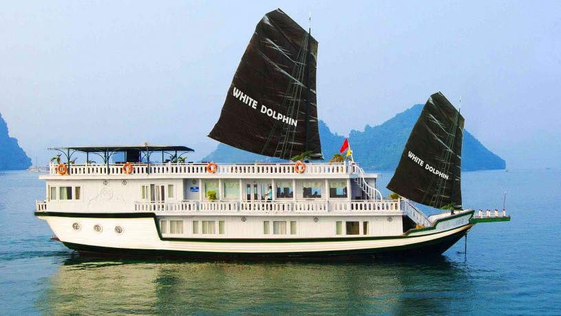 White Dolphin Cruise – Halong Bay
