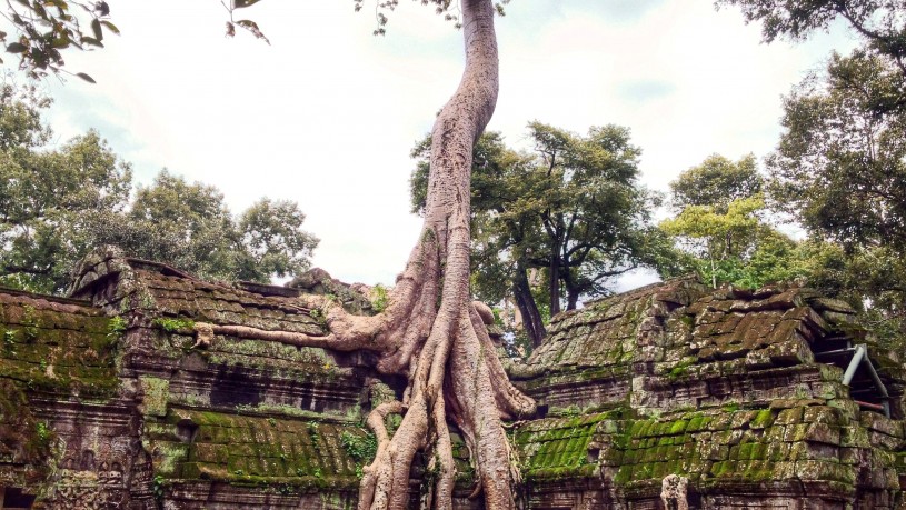 Ta-Phrom-Angkor-Siem-Reap-Cambodia (4)